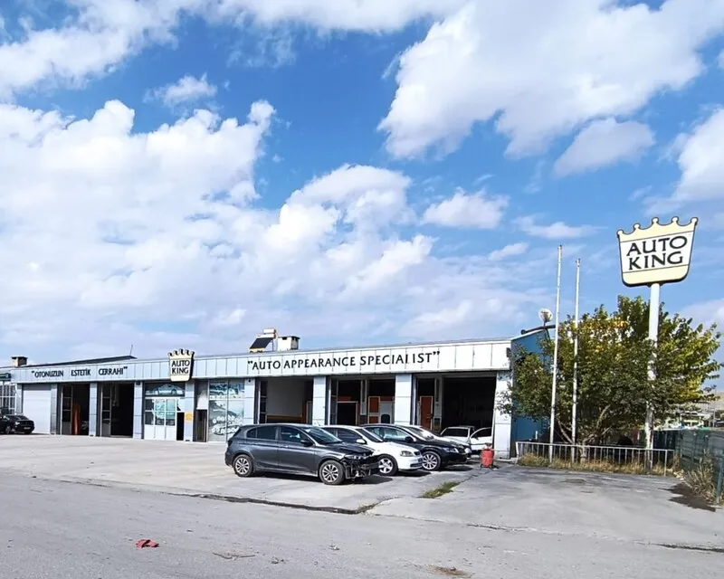 Van Sanayi Oto Servis