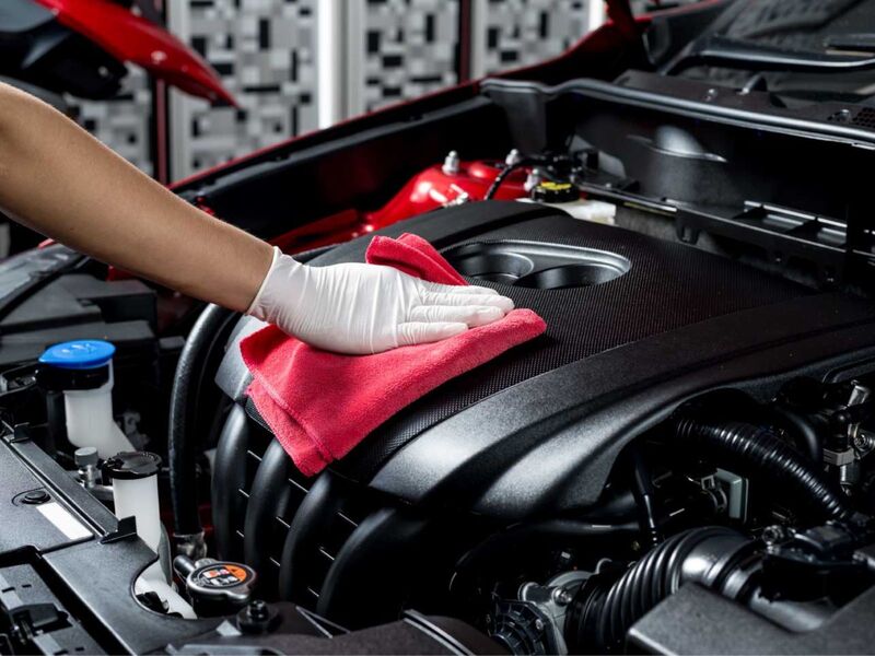 Motor Temizleme