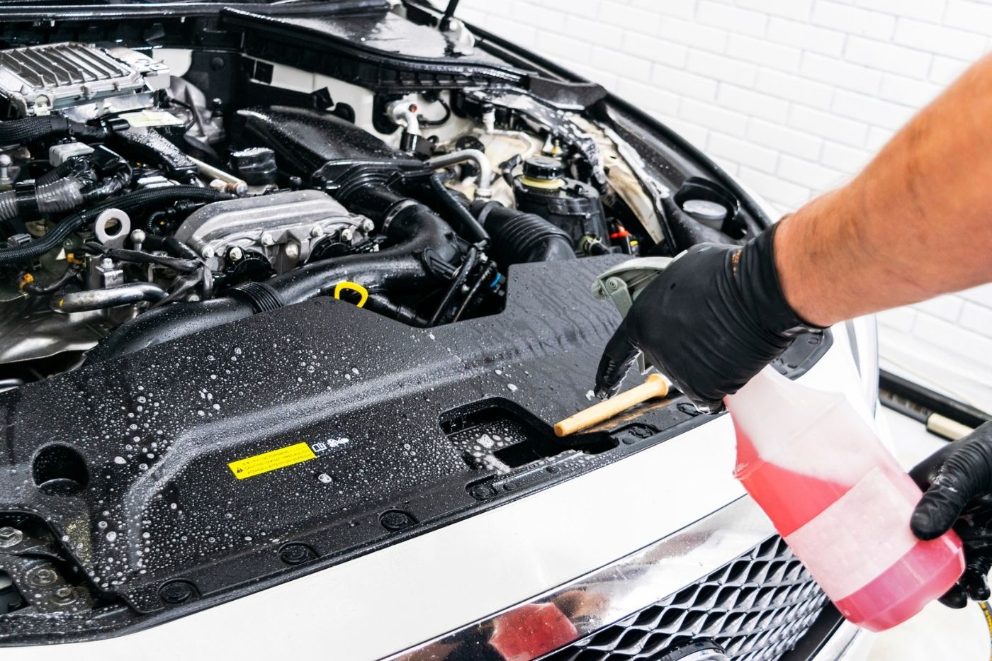 engine bay cleaning
